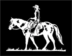 Cowgirl on Horse Vinyl Decal car truck trailer window sticker graphics - Picture 1 of 3