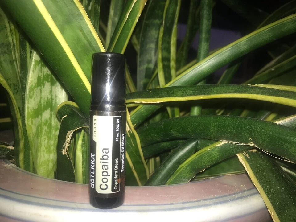 doTERRA Copaiba Touch 10 ml Roll On NUEVO Y SELLADO Exp 10/29 Foto 1 de 1