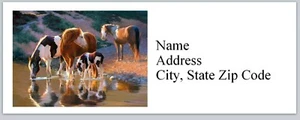 Personalized Address Labels Western Paint Horses (bx 626) - Picture 1 of 3