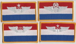 4 parches de etiqueta con nombre de la Fuerza Aérea de los Estados Unidos USAF Comando Piloto Alas Tripulación Enfermera de vuelo - Imagen 1 de 2