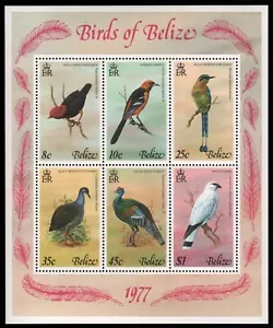 Belize 1977 - Mi-Nr. Block 2 ** - MNH - Vögel / Birds - Picture 1 of 1