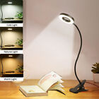 Clip-on Desk Lamp Bed Table Book Reading Gooseneck 360°Rotation Plug in