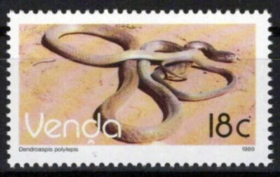 South Africa Venda 141 MNH Reptiles Snakes ZAYIX 0424S0088M - Image 1 of 3