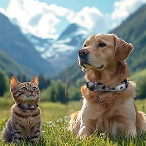 Wasserdichte ABS Schutzhülle Hundehalsband Halter für AirTag Gewährleistung H - Zdjęcie 1 z 14