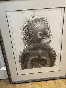 Gary Hodges Limited Edition Framed Print Signed "Plea for the Rainforest" - Picture 1 of 6