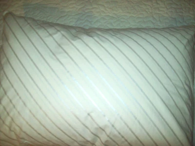 Simply Silver Compartmented Natural HYBRID Down Pillow Queen/Standard NEVER USED - Image 1 of 4