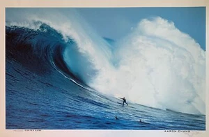 Aaron Chang Mike Parsons Cortes Bank Poster 24 X 36 - Picture 1 of 1