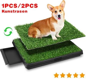 Inodoro para perros inodoro para perros inodoro para cachorros inodoro para cachorros 1 pieza/2 pieza césped artificial 63x50 cm NUEVO - Imagen 1 de 30