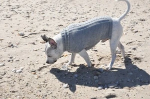 Alpaca Wool Hand made "Cable" Dog Sweater winter warm Jacket - Picture 1 of 8