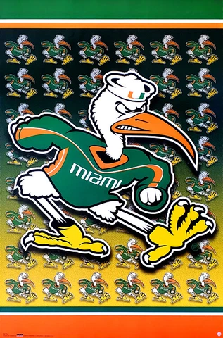 University of Miami Hurricanes IBIS Official NCAA Team Logo 22x34 POSTER Cover