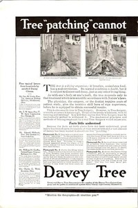 Antique 1917 Ad Davey Tree Surgeon Tree Patching Davey Tree Expert 2/1917 - Picture 1 of 5