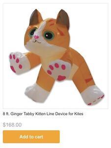 Gray Tabby Kitten Line Device for Kites