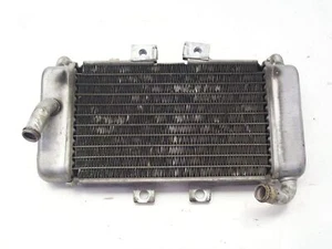 RADIATORE ACQUA PER PIAGGIO NRG 50 MC3 PUREJET DEL 2003 (e29948) - Imagen 1 de 2