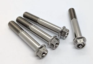 Titanium front caliper bolt kit drilled hex flange 75mm x M10-1.25p Ti Prolite - Picture 1 of 3