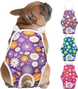 Jollywood 3-Pack Washable Female Dog Diaper with Adjustable Suspender – Medium - Picture 1 of 8
