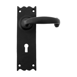 From The Anvil Cottage Door Handle Lever on Backplate - Picture 1 of 9