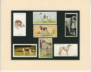 BORSOI ORIGINAL ALTER HUND SAMMELKARTEN FERTIG MONTIERT TOLLES GESCHENK - Bild 1 von 1