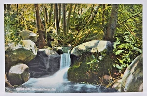 Vintage Postkarte Idyllwild Falls, Riverside, Kalifornien - Bild 1 von 2