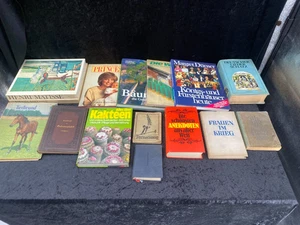 Konvolut alte & moderne Bücher verschiedene Genres Antik Nachlass Auflösung - Bild 1 von 6