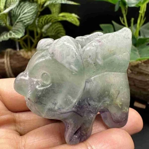1pc Natural fluorite Quartz carved Crystal fly pig skull healing Reiki - Picture 1 of 14