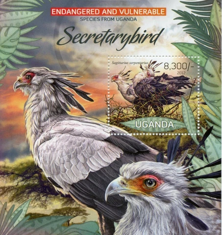 Uganda Birds of Prey on Stamps 2012 MNH Secretarybird Endangered Species 1v S/S Cover