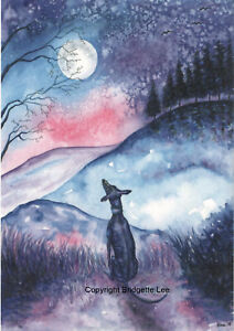 A Whippet greyhound dog  Watercolour and ink  painting By Bridgette lee