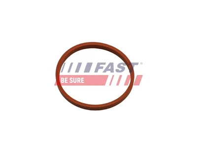 FAST Ladeluftschlauch-Dichtung Dichtring FT48932 für RENAULT TWINGO II (CN0) FPM - Bild 1 von 4