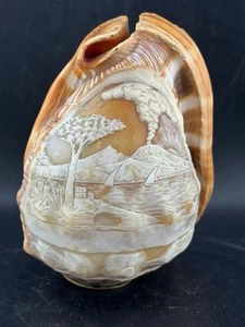 Vintage Carved Grecian Style Cameo Natural Conch Shell Lamp Shade No Base - Picture 1 of 14