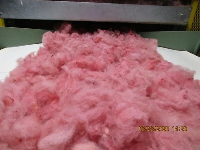 Very light Burgundy Washed Texel Wool Roving -   Free Shipping - Image 1 of 4