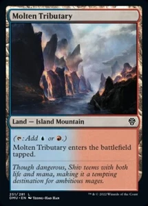 Tributario fundido x4 4x lámina Dominaria United casi nuevo como nuevo Magic The Gathering - Imagen 1 de 1