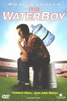 Waterboy - Der Typ mit dem Wasserschaden von Frank Coraci | DVD | Zustand gut - Bild 1 von 2