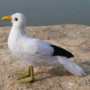 white simulation seagull model foam&feather seagull bird gift about 30cm - Picture 1 of 2