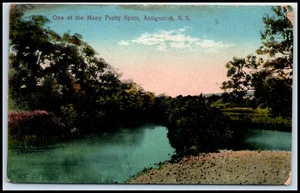 AK Einer der vielen schönen Flecken, antigonisch, N. S. E108 - Bild 1 von 2