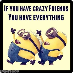 Funny Minion If You Have Crazy Friends Refrigerator Magnet - Picture 1 of 1