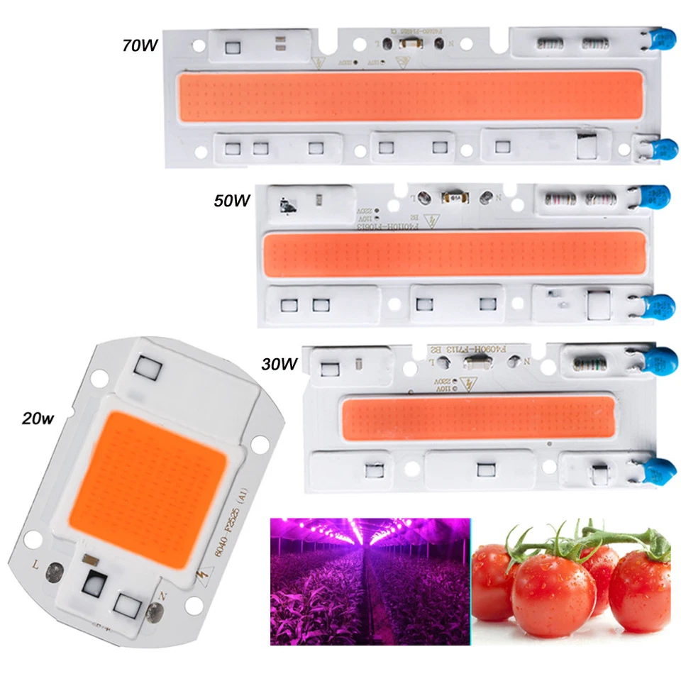 Full Spectrum LED Grows Light LED COB Chip For Hydroponic Greenhouse Plant - Image 1 of 4