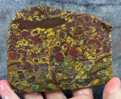Fruit Tree * Ajooba Jasper Rough Slab - Mexico! - Image 1 of 2