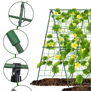 Adjustable Cucumber Trellis for Raised Bed Gardens 48 x 48 Inch A Frame - Picture 1 of 12