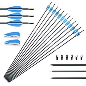 12Pcs 30/28 inch Carbon Arrows Archery Hunting Spine 1000 For Recurve & Compound - Picture 1 of 12