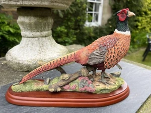 Border Fine Arts Birds by Russell Willis Pheasant No.A1475 - Picture 1 of 16