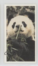 1992 Brooke Bond Natural Neighbors Tea Giant Panda #33 02v3