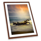 Morning Light Driftwood Sunset Beach Orange Framed Art Print Picture Artwork