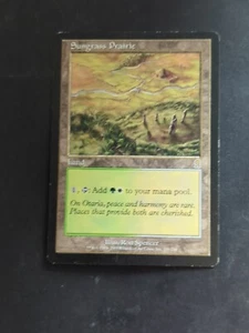 MTG Sun grass Prairie Odyssey Rare 1993-2001 Magic The Gathering 328/350 - Picture 1 of 2