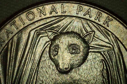 2020 P Quarter Double Die Reverse Multiple Error American Samoa Bat Nat Park Cover