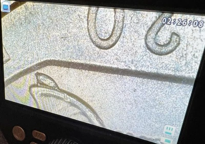 2020 Quarter With Extra Left Ear On Bat Error Very Rare Great Condition - Image 1 of 3