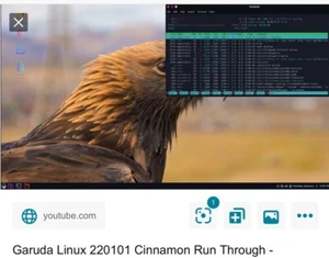 Garuda Cinnamon Linux 4gb USB Canada Economy - Picture 1 of 2