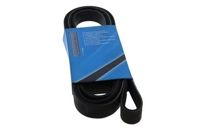 MAPCO Courroie Poly-V Courroie d'accessoire 262250 pour AUDI 80 Avant (8C5, B4) - Photo 1/4