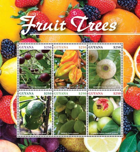 Guyana 2015 - Fruit Trees - Sheet of 6 Stamps - Scott #4434 - MNH - Image 1 of 1