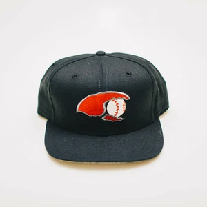 Hickory Crawdads MiLB New Era snapback wool Made in USA NWOT  - Picture 1 of 4