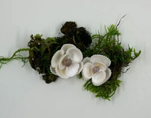 Set of 2 Handmade, White Flowers Made with Seashell - Picture 1 of 2
