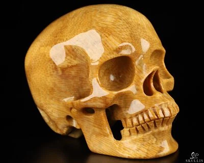 Calavera de cristal tallada a mano fósil de coral de 4,1", súper realista, cristal curativo Foto 1 de 4